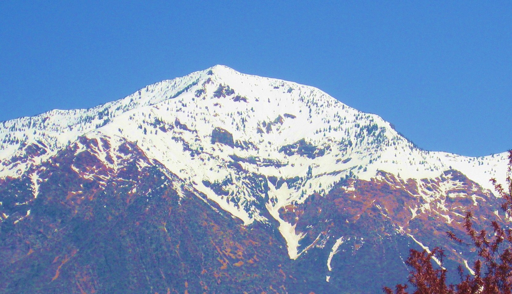 Ben Lomond Peak